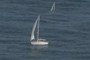 Sail Boat