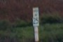 25mph