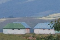132420-210x140