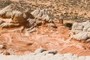 Amazing formations...