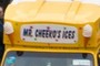 Mr. Cheeko's ices