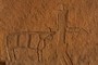 Neolithic man and domestic sheep