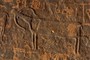 Aurochs: detail of head and horns