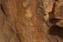Neolithic human and sheep
