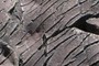 Rock design