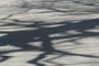 Cool shadows