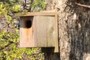 bird house