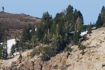 1729-210x140