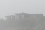 Home in the Mist