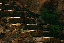 134706-210x140