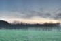 lovely light
