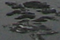 135017-210x140