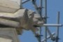 grrr, lion head