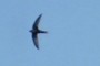 Gliding