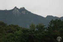 2947-210x140