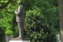 MLK