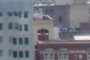 Shirk's Window