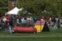 Dog show agility course