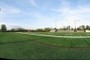 A view of the field