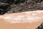 Shinumo Rapid - Class 2-3 - 8" Drop