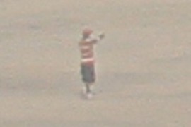 Waldo...