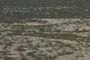 Vegetation change