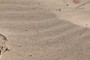 Wind Blown Sand