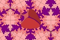 137726-210x140