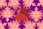 mimicry beetle