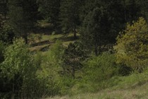 137915-210x140