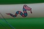 snake