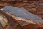 Desert Varnish (Patina)