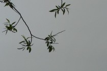 139857-210x140