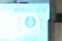 The seal