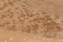 Fluvial Deposits