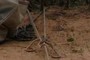 Bowline on a Bight