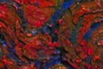 138470-210x140