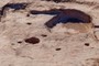 Orion ?