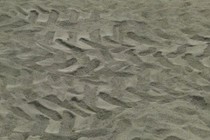 138994-210x140
