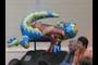 Gecko and friends