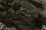 Rock strata of the Xiagou Formation