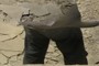 Disembodied legs!