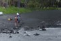 Richard, 2 tourists and 3 Honu