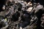 Quartz in Schist