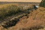 Train tracks