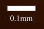 scale bar