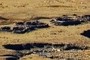 ruines2