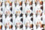 The Feline Army