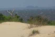 141601-210x140