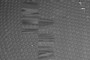 errors in sem imaging